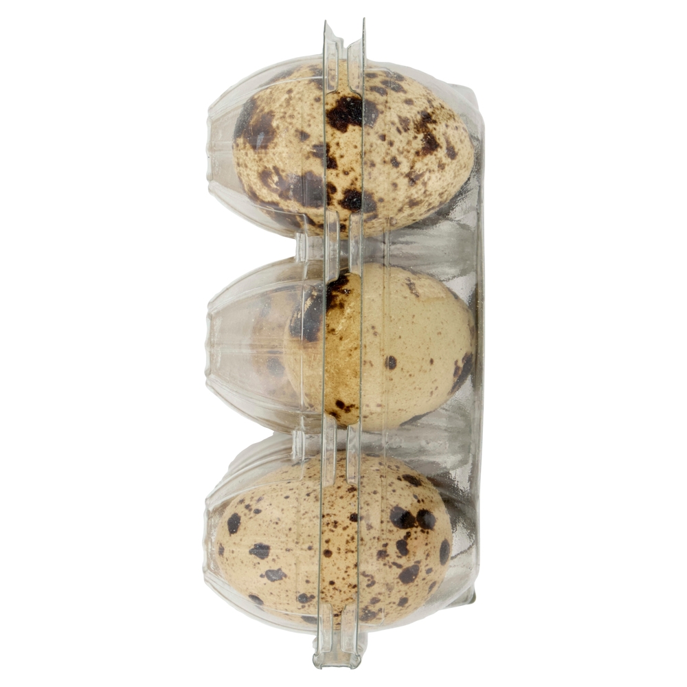 12 Uova Fresche di Quaglia